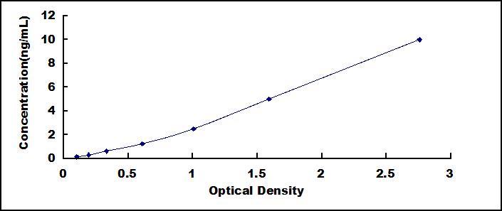 65097