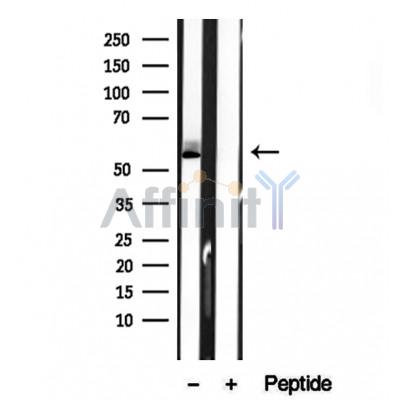 Валидация Affinity DF12250 - 6568