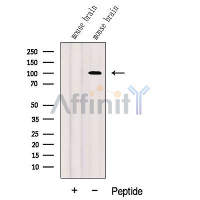 Валидация Affinity DF12599 - 7223