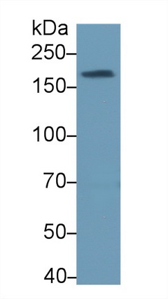13584