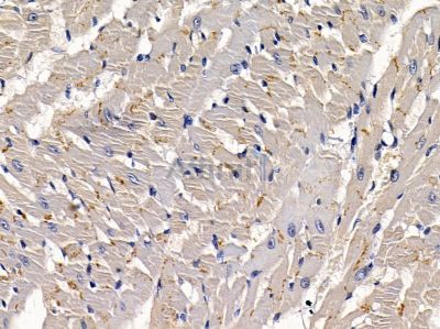 Валидация Affinity DF4788 - 16518