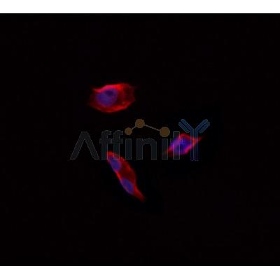 Валидация Affinity DF3640 - 14619