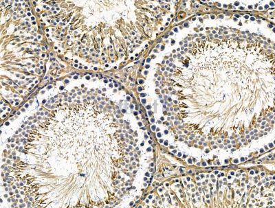 Валидация Affinity DF15630 - 12064