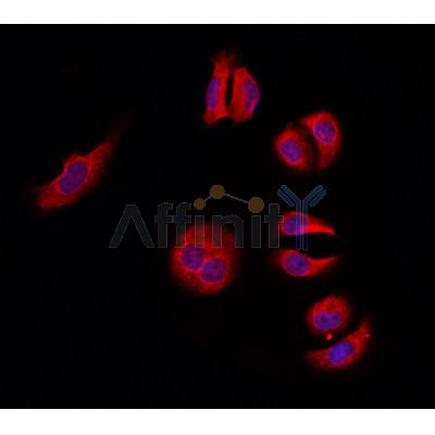 Валидация Affinity DF3493 - 14413