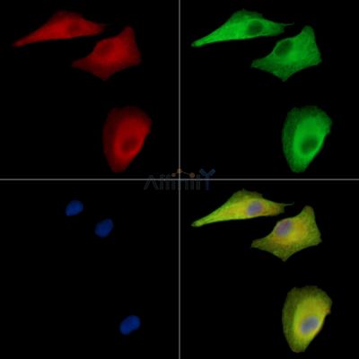 Валидация Affinity DF15811 - 12302