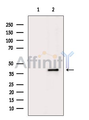 Валидация Affinity DF9530 - 22180