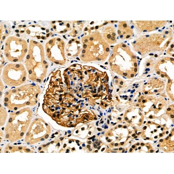 Валидация Affinity DF7501 - 19239