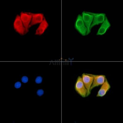 Валидация Affinity DF4200 - 15559