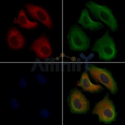 Валидация Affinity AF7905 - 4651