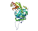 Cystathionine Gamma Lyase (CSE)