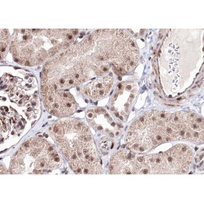 Валидация Affinity AF3494 - 2027