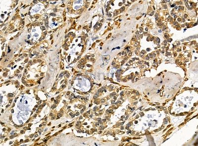 Валидация Affinity DF14286 - 10160