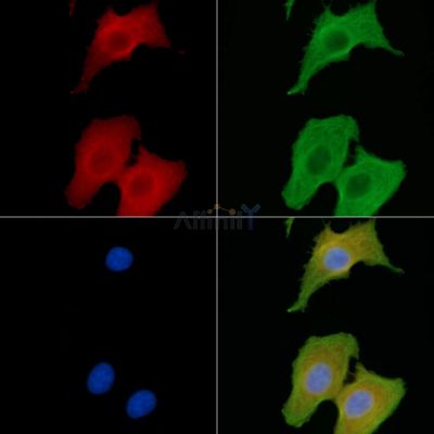 Валидация Affinity DF9414 - 21966