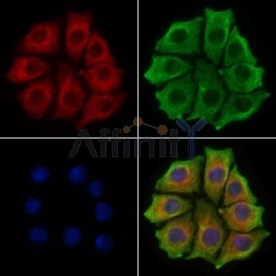 Валидация Affinity DF7620 - 19393