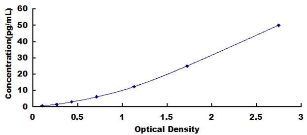 51571