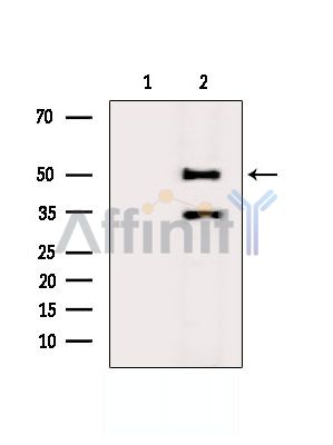 Валидация Affinity DF7104 - 18751