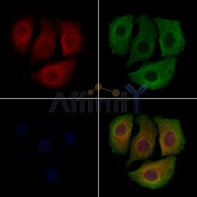 Валидация Affinity DF12687 - 7346