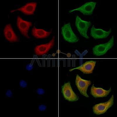 Валидация Affinity AF7635 - 4309