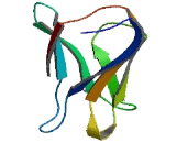 CD200 Receptor 1 (CD200R1) CD200 Receptor 1 (CD200R1)