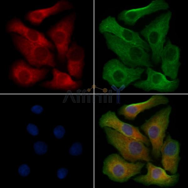 Валидация Affinity DF4816 - 16569