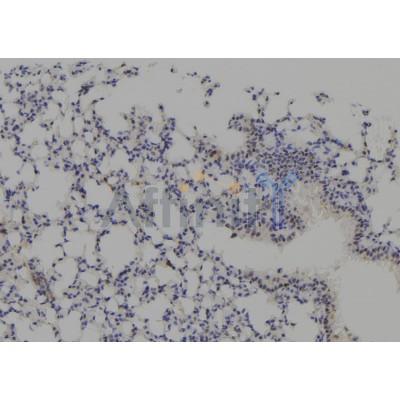 Валидация Affinity DF7563 - 19320