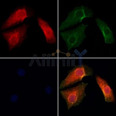 Валидация Affinity DF12738 - 7417