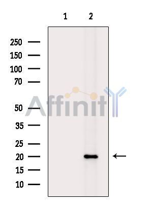 Валидация Affinity DF15899 - 12411