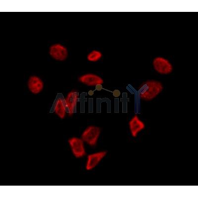 Валидация Affinity DF12071 - 6144