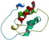 Interleukin 3 (IL3) Interleukin 3 (IL3)