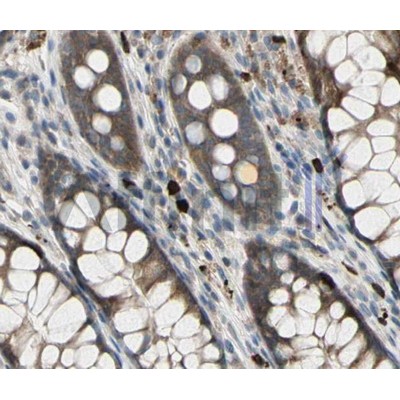 Валидация Affinity AF5132 - 2513