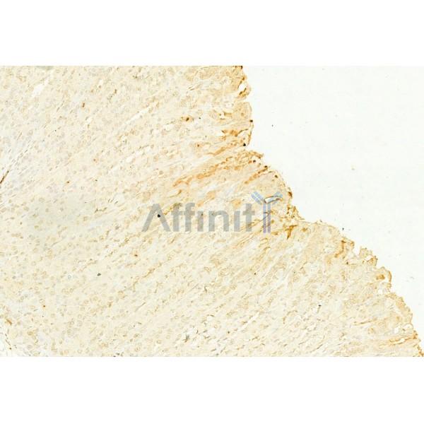 Валидация Affinity DF6437 - 17810