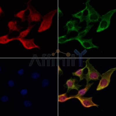 Валидация Affinity DF10145 - 5669