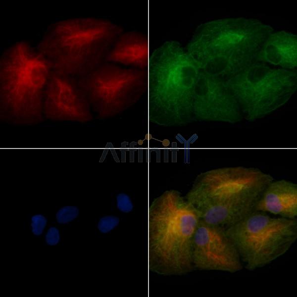 Валидация Affinity DF3947 - 15149