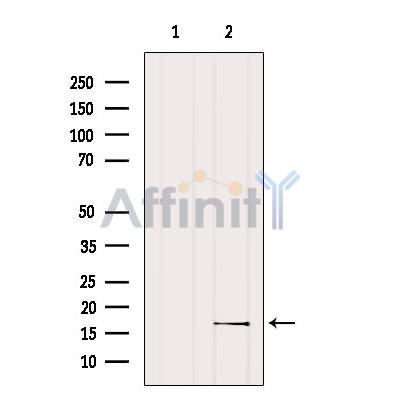 Валидация Affinity DF3240 - 14077