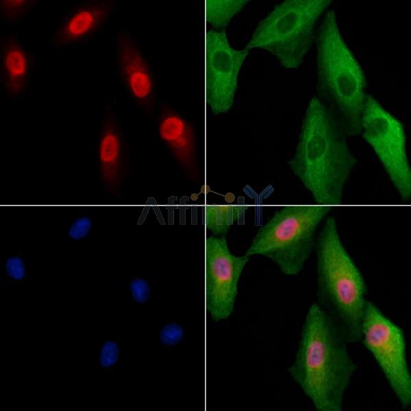 Валидация Affinity DF9499 - 22122