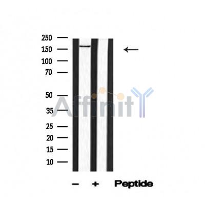 Валидация Affinity AF4736 - 2355
