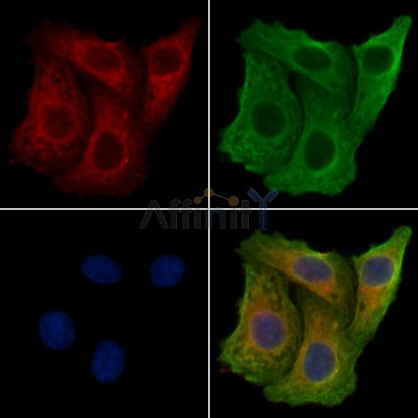 Валидация Affinity DF13544 - 8975