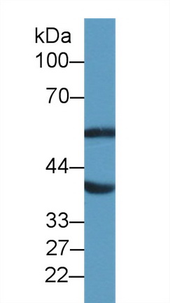 14488