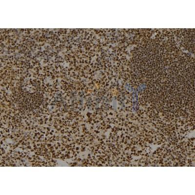 Валидация Affinity DF2930 - 13672