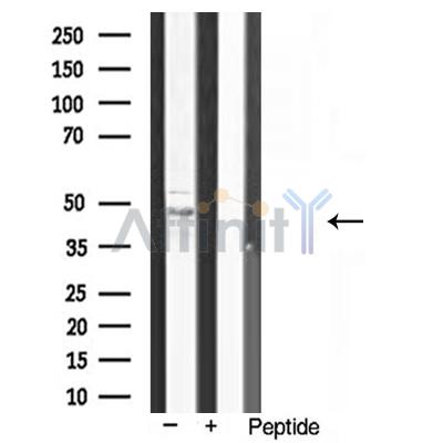 Валидация Affinity AF5245 - 2739