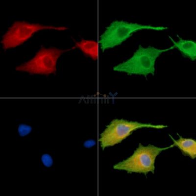 Валидация Affinity DF14916 - 11084