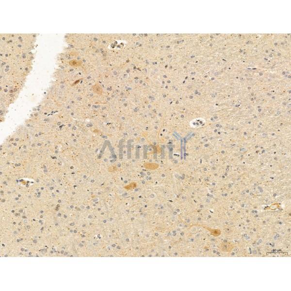 Валидация Affinity DF7541 - 19290