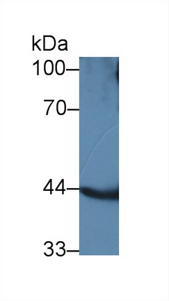 8956
