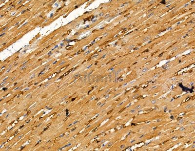 Валидация Affinity DF13895 - 9629