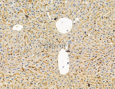 Валидация Affinity DF14922 - 11093