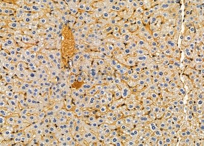 Валидация Affinity DF9401 - 21945