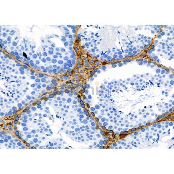 Валидация Affinity DF2841 - 13603