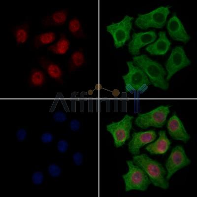 Валидация Affinity AF7691 - 4378