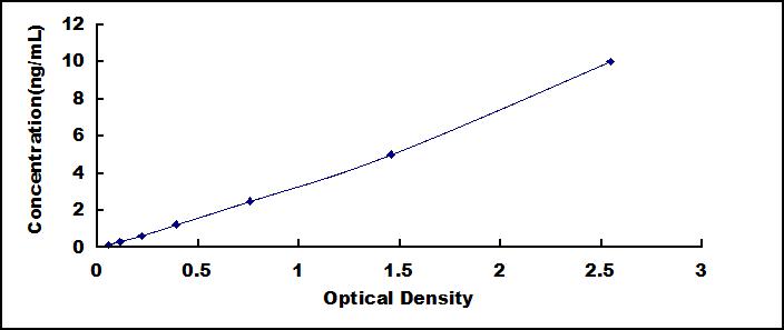 37481