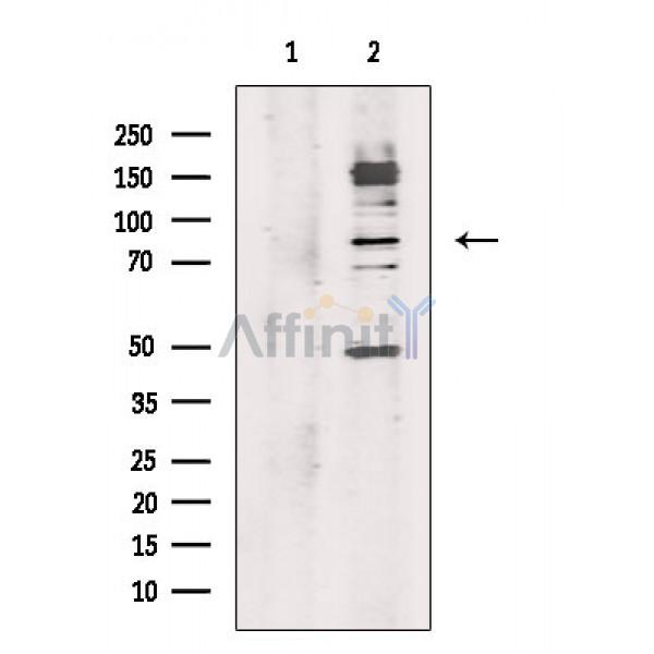 Валидация Affinity DF10265 - 5867
